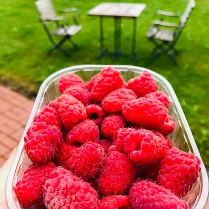 Himbeeren